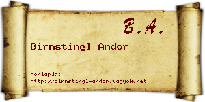 Birnstingl Andor névjegykártya